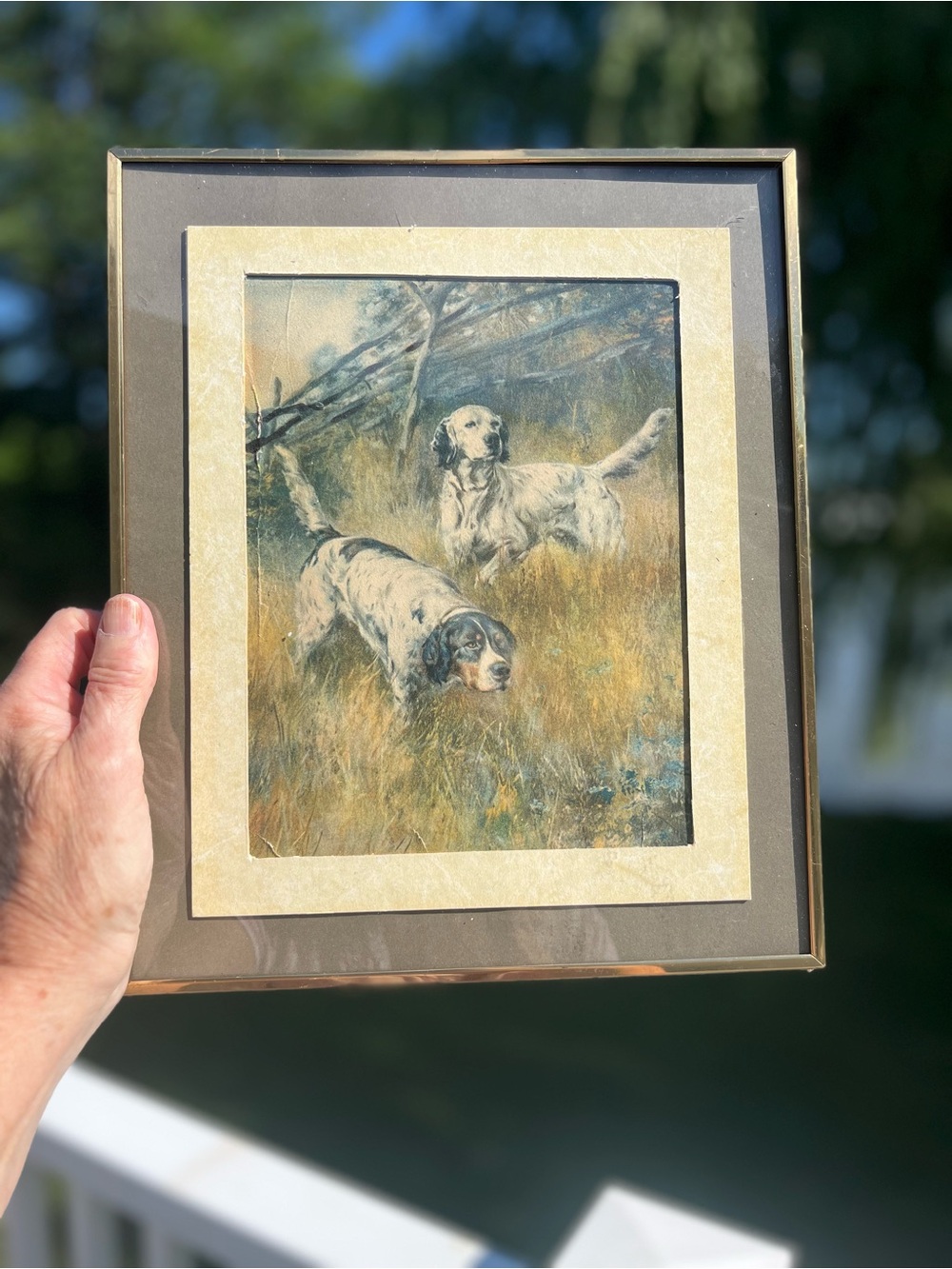 Very vintage illustration of hunting dogs from Smryna, DE in brass glass frame